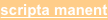 shapeimage_2_link_9